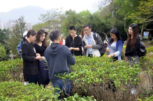 想学一手好的茶艺，去哪里学习呢？